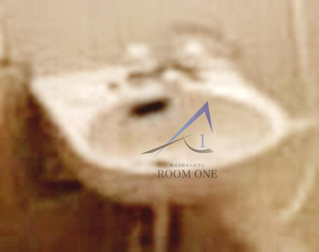 シャンテ本所の洗面所|洗面台です。