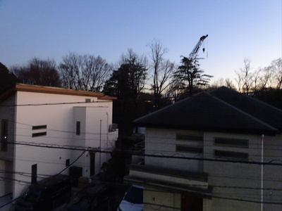 【展望】 | ミッキーハイム