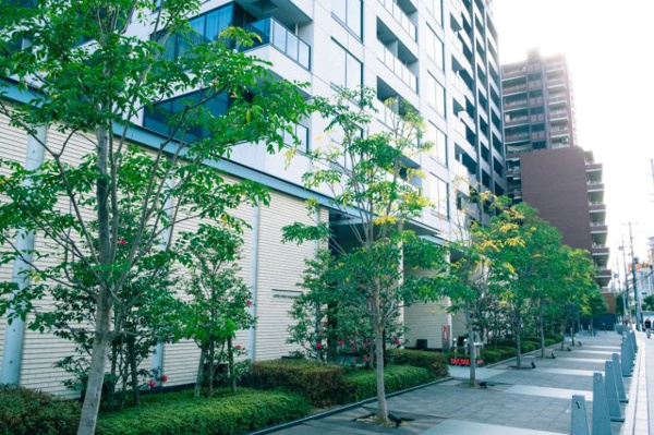  | 【エントランス外観】マスターズエントランスです。植栽を立体的に配置することで、開放感と奥行きを演出！