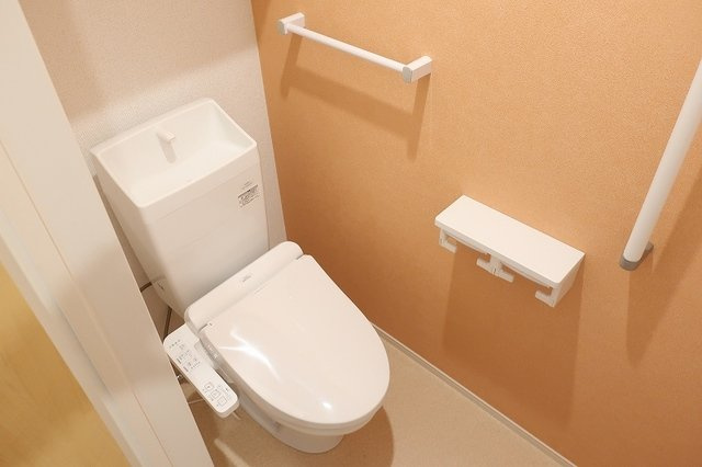 カルセドニーのトイレ