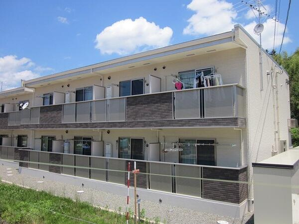 スターリーフォーレストＢ