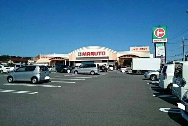 ライゼ・グランツの周辺|マルトまで1100m