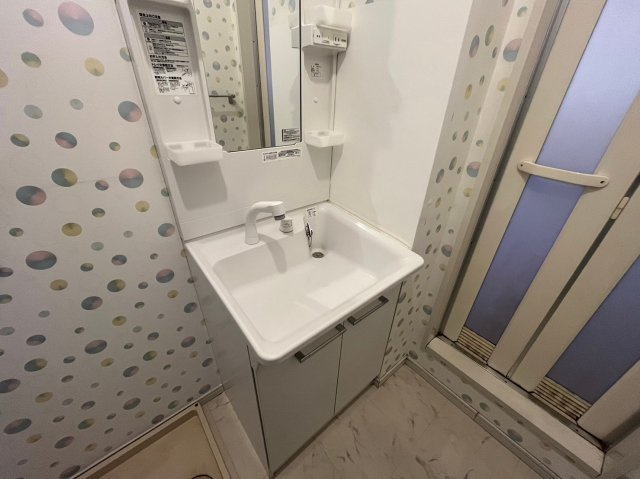 サザンヴィレッジ　B棟の洗面所