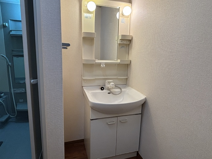 エクセレントヴィラ　C棟の洗面所