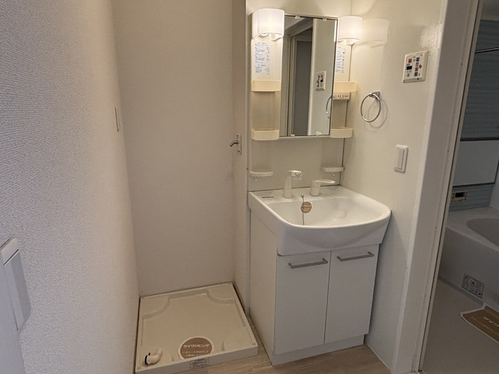 ルーシッド新保の洗面所