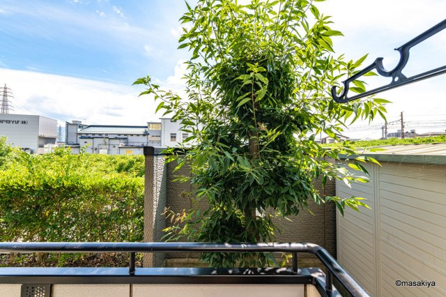 ロイヤル・ウイング　Eの展望|眺望