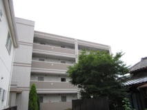 ベルデュール楓の画像