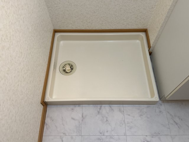 シンヴィオシスＢのその他