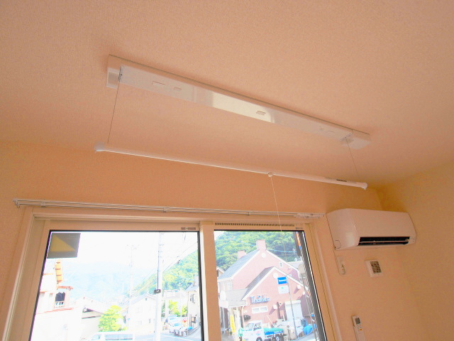 ホワイトリリーのその他