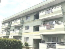 ニューエルディム御幸の画像