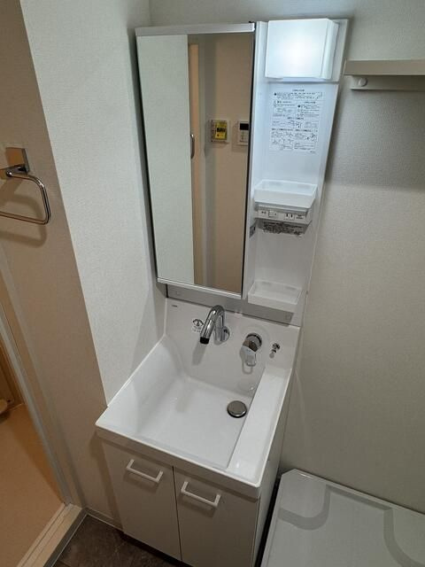 レガリス武蔵小山の洗面所