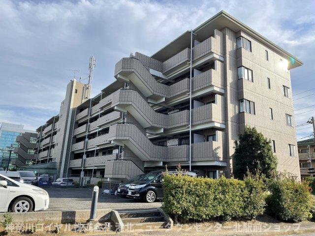 グレース代官Ⅲの画像