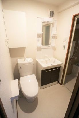 ブリーゼ磯子の洗面所