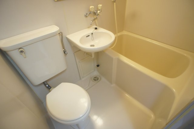 エクセレント河の浴室