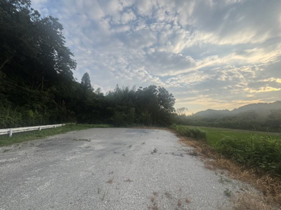  | 丹波篠山市向井　土地