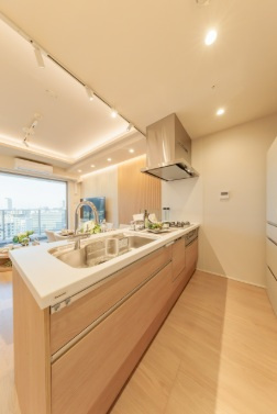 食洗機・浄水器一体型水栓付システムキッチン