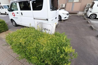  | メゾンまるえ