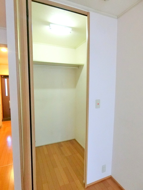 Ｄｒｅａｍ　Ｌｉｇｈｔｓの収納|※別部屋参考写真