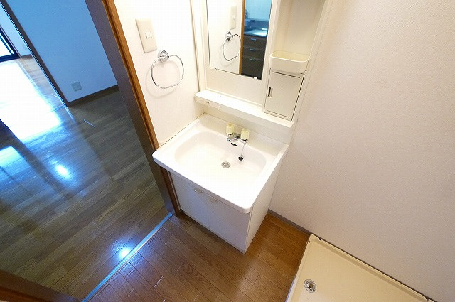 サニーハウスタムラの洗面所|ゆったりとスペースのある洗面所