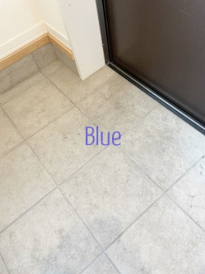 【玄関】 | アールメゾン湘南台 | 同仕様