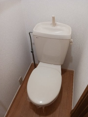 【トイレ】 | ＷＩＳＴＥＲＩＡ下垂木