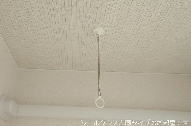 【その他】 | パーチェ