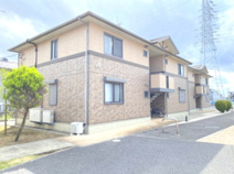 マローネ　Aの画像