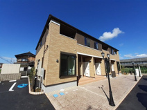 プラシードＮの画像