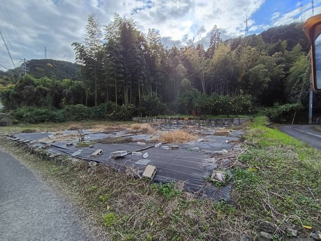 西条市洲之内甲736　農地