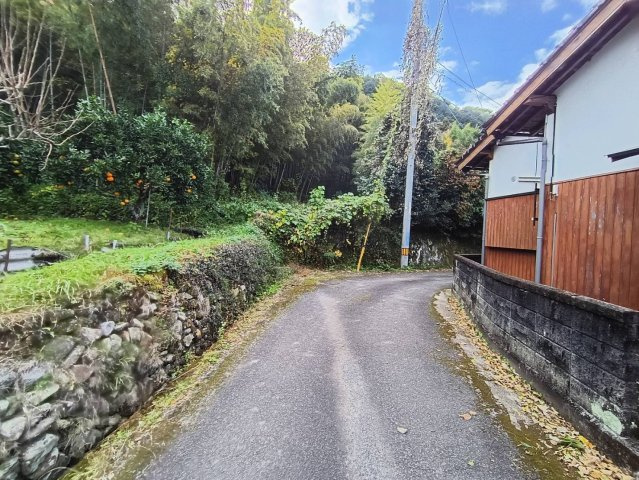 西条市洲之内甲736　農地の外観