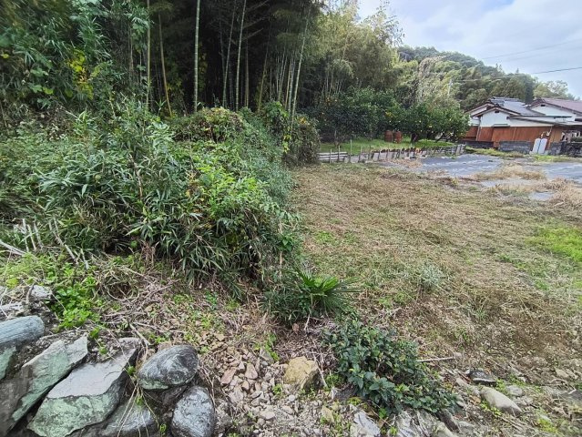 西条市洲之内甲736　農地の外観