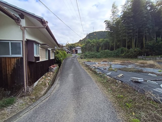 西条市洲之内甲736　農地の外観