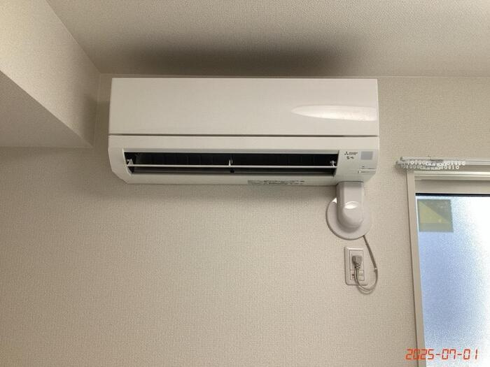 D-crinum 白銀Ⅱのその他