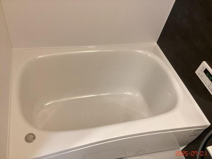 D-crinum 白銀Ⅱの浴室