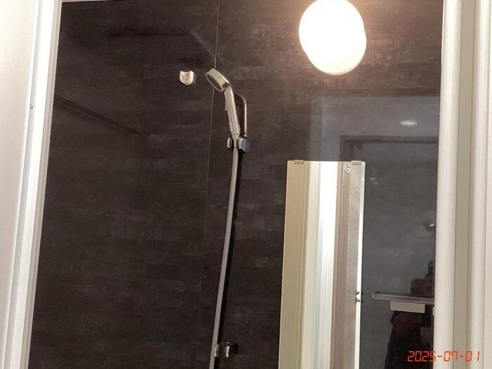 D-crinum 白銀Ⅱの浴室