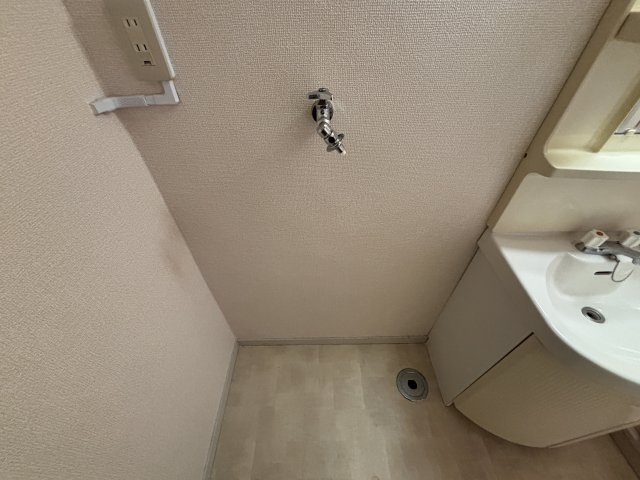 松丸第二コーポラスの洗面所