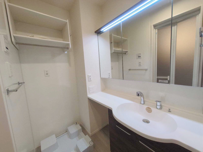 D-Crinum白銀Iの洗面所