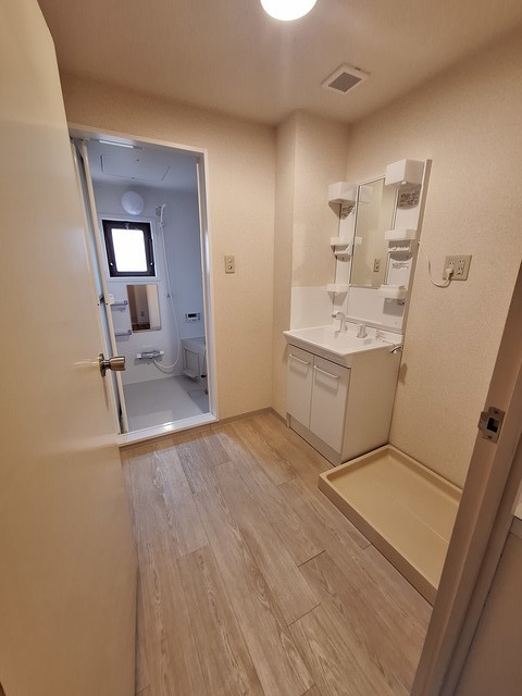 ハビタスミヤタの洗面所