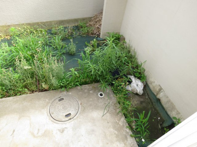 【バルコニー】 | ピュア川越 | 洗濯機置場