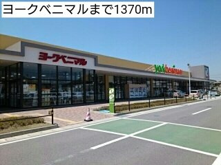 ベル　カンフリエの周辺|ヨークベニマルまで1370m