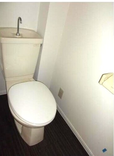 エステート藤薮のトイレ