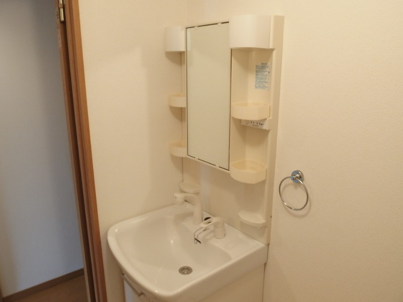 ドミールＴＦの洗面所