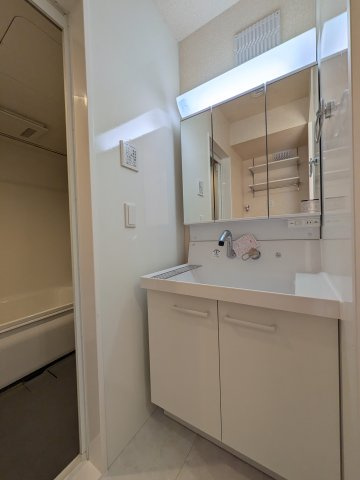 センチュリーハイムすみよし台 Ⅴの洗面所