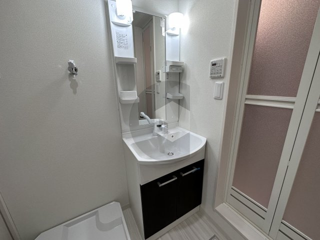 フジパレス高井田西3番館の独立洗面台