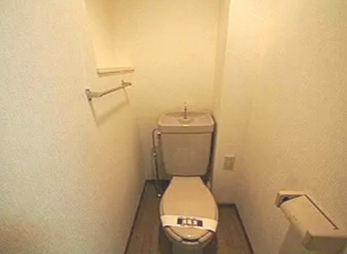 新宿区中落合２丁目の賃貸マンションのトイレ