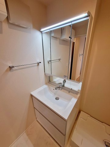 リジエル本駒込の洗面所