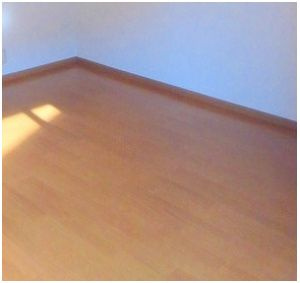 ヴィップ弥生のその他