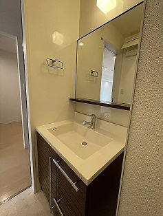 仲之町ヒルズの洗面所