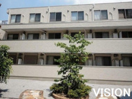 Court Pinetailの画像