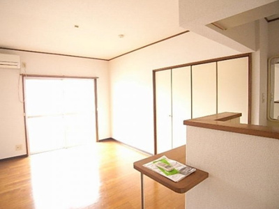 【その他】 | ピナクル板付 